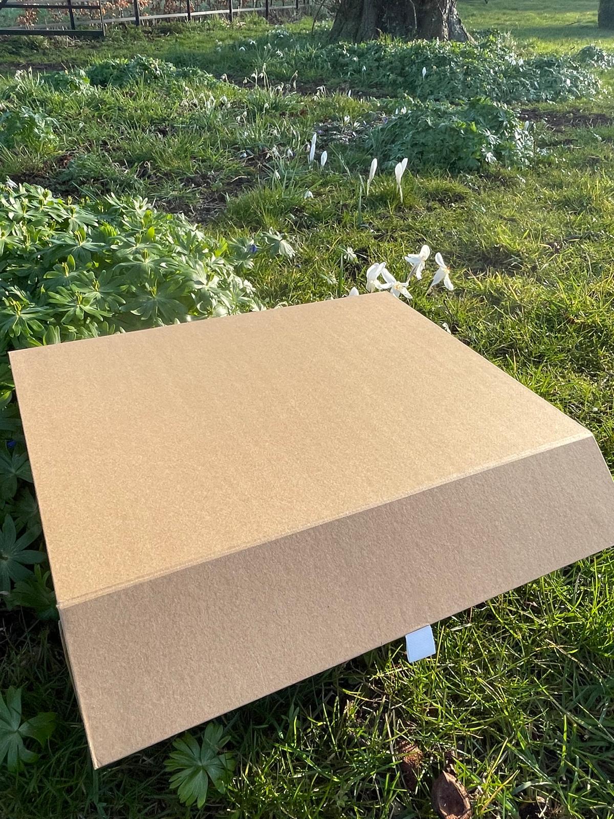 The Build-Your-Own Gift Box