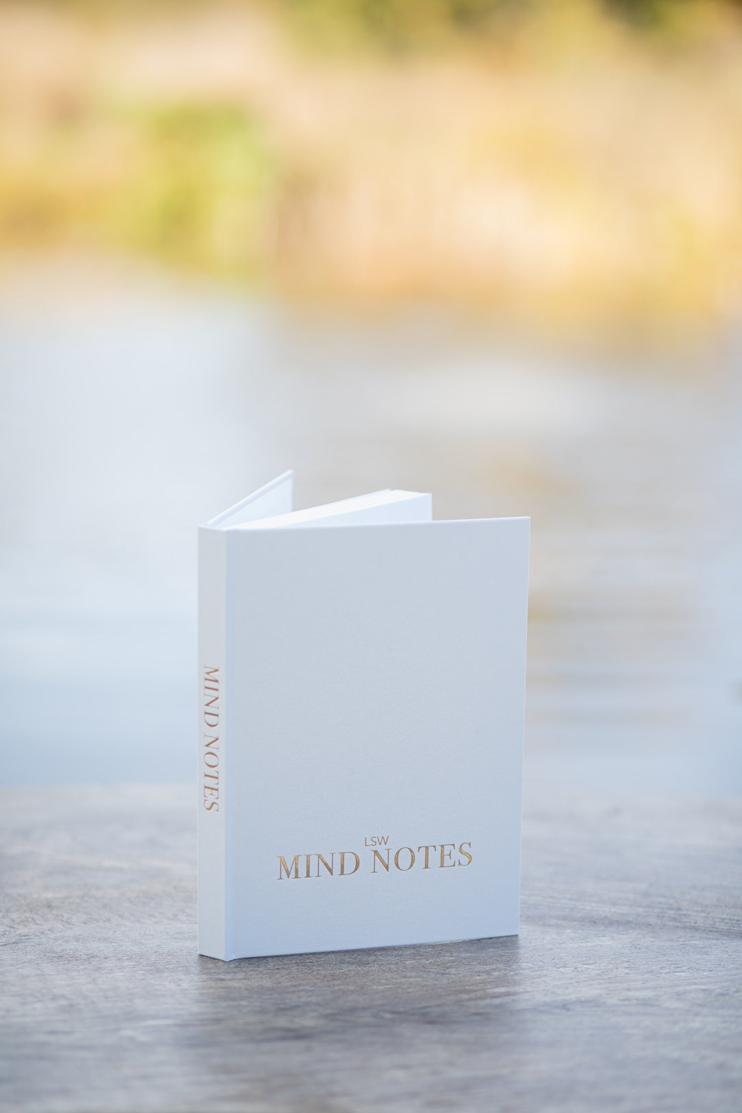 Mindnotes Journal